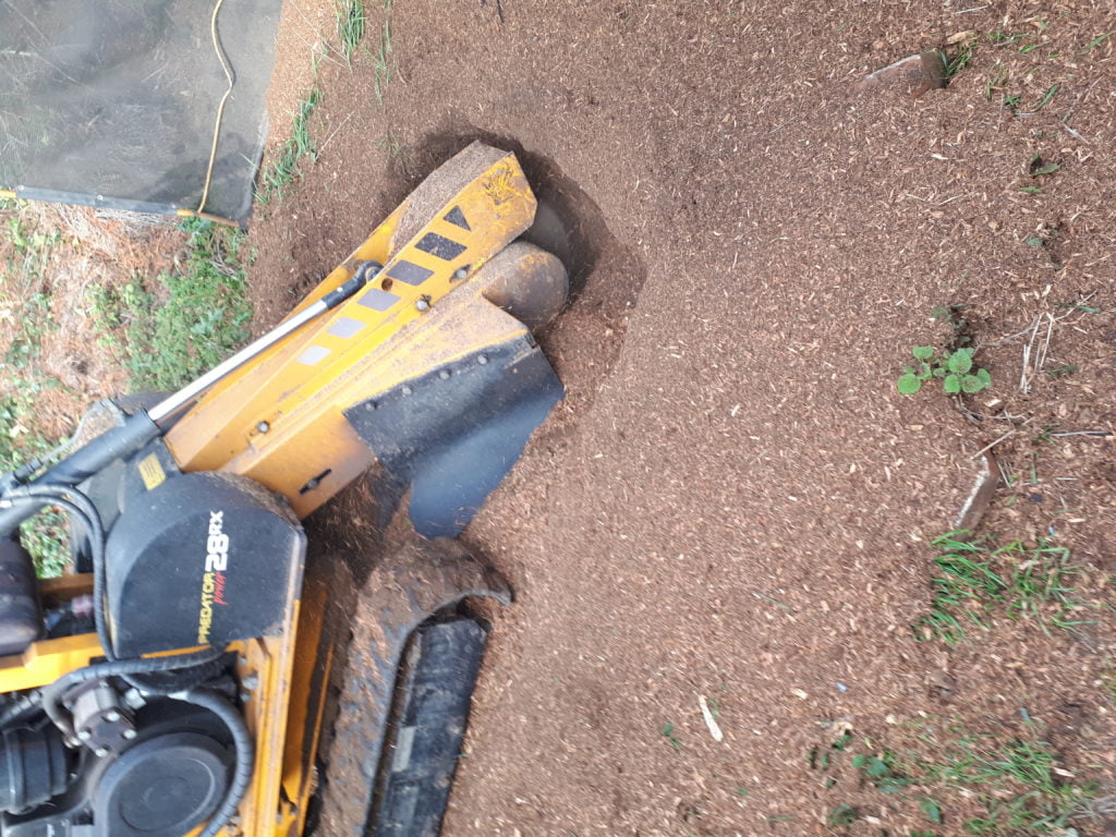 Essex Tree Stump Grinding Carrying Out A Tree Stump Removal Job In