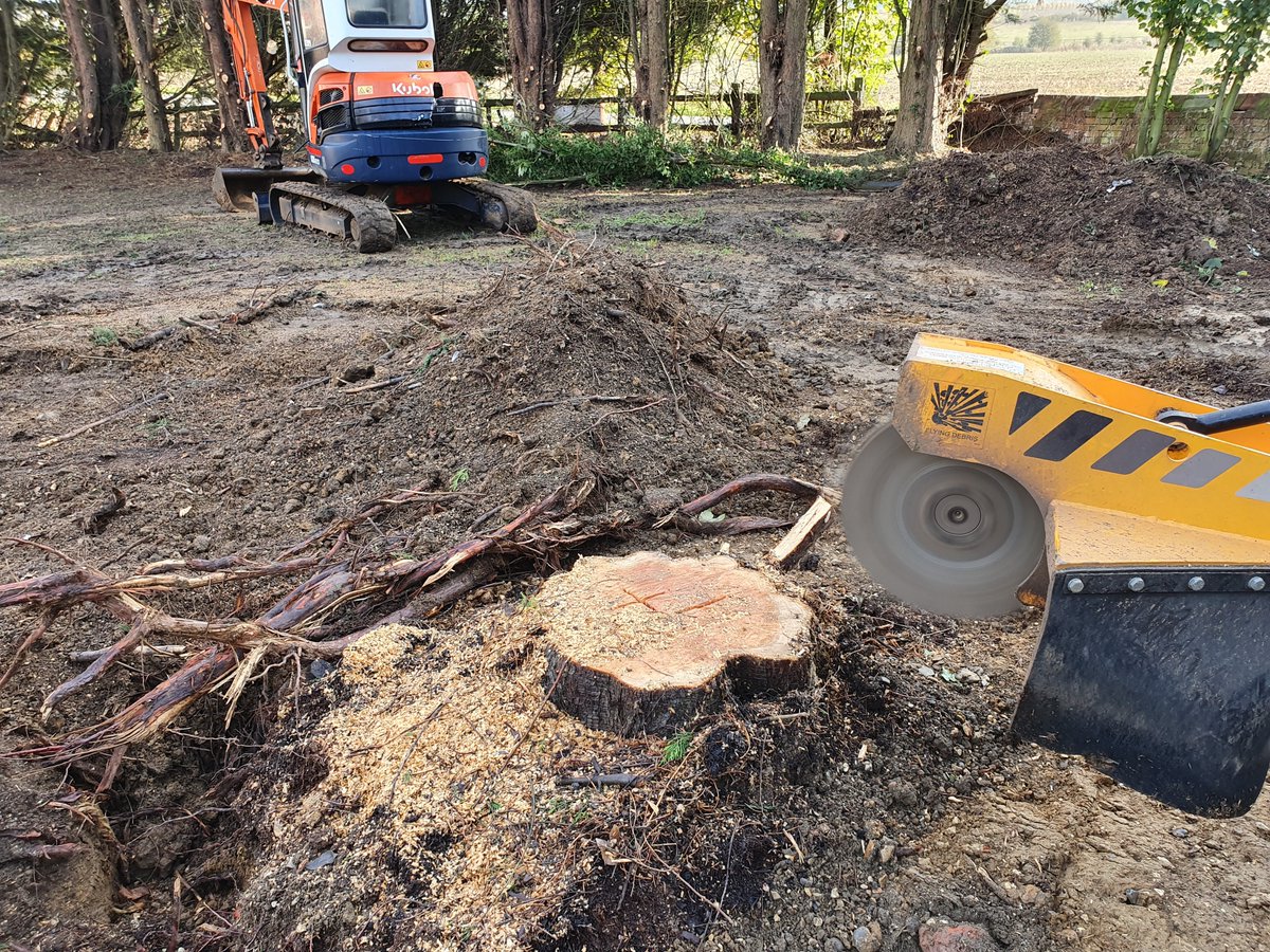 Removing tree stumps at Bamber’s Green, near Takeley, Dunmow, Essex. Here we had a collection of tree stumps to grind in…