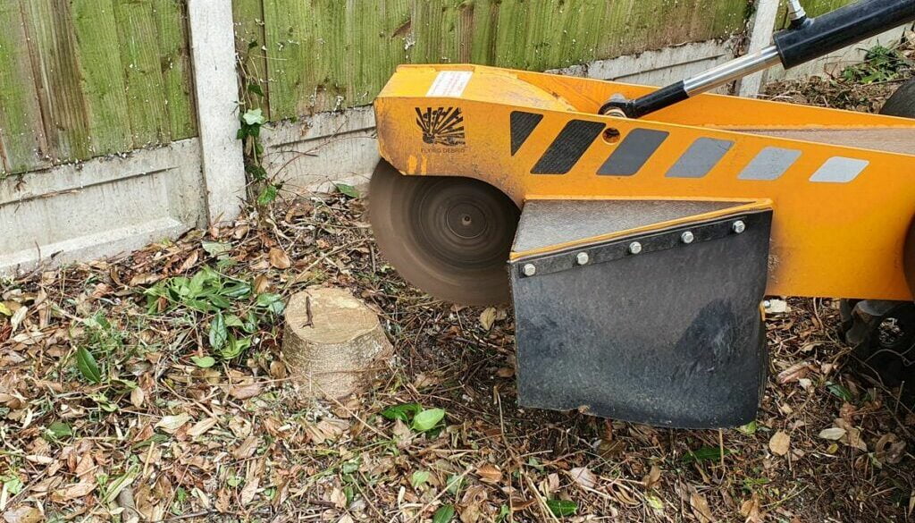 Grinding tree stumps in “Old Moulsham”, Chelmsford, Essex. There were a variety of trees stumps to be removed as the gar…