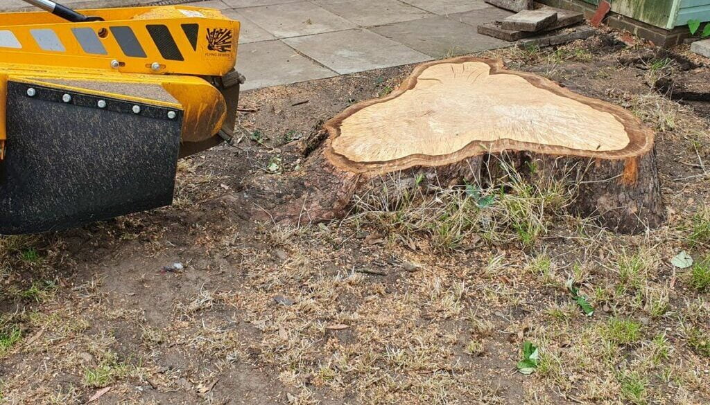 Removing a large eucalyptus tree stump in Rainham, Essex. The eucalyptus stump was around 42 inches (100 cm plus) in dia…