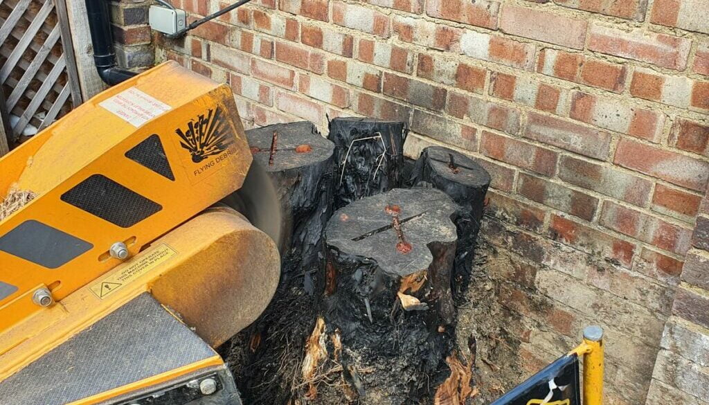 Working in Dagenham, Essex, grinding out some large conifer tree stump’s. The customer had tried to burn and remove the …