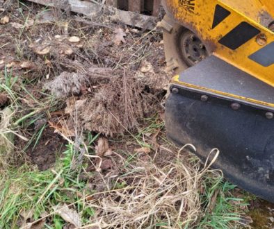 The tree stumps are now removed at the stump grinding job at Finchingfield, on Bardfield Road, Essex. The area is going t…