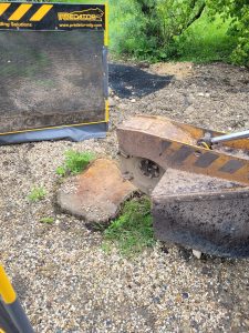Grinding A Sycamore Tree Stump At Bambers Green