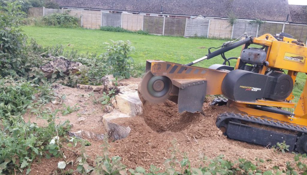 A tree stump grinding service based in Essex, call 07971 648879 for more details.  ...