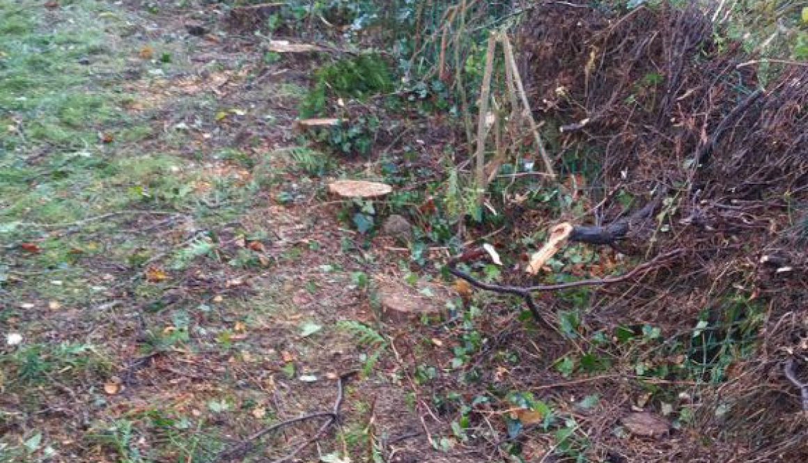 For all your tree stump grinding needs please contact Essex Tree Stump Grinding on 07971 648879.  ...