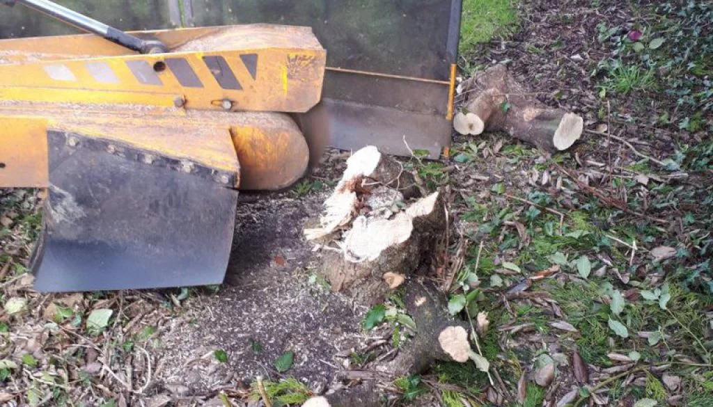 Grinding out various tree stumps near Great Dunmow, Essex, please feel free to c...