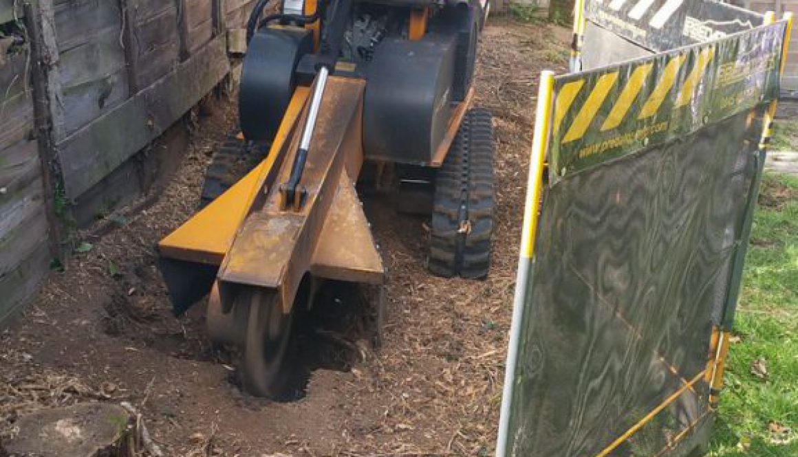Tree stump grinding a Leylandii hedge near Braintree For more details call Essex Tree Stump Grinding on 07971 648879  ...