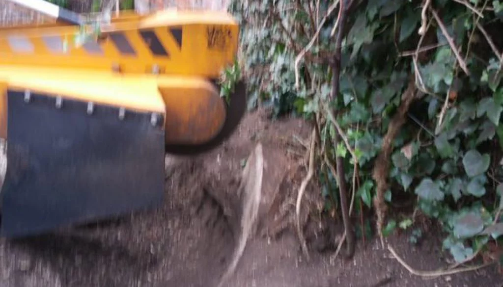 Tree stump grinding in Halstead, Essex, for a free quote, please call Roy on 07971 648879.  ...
