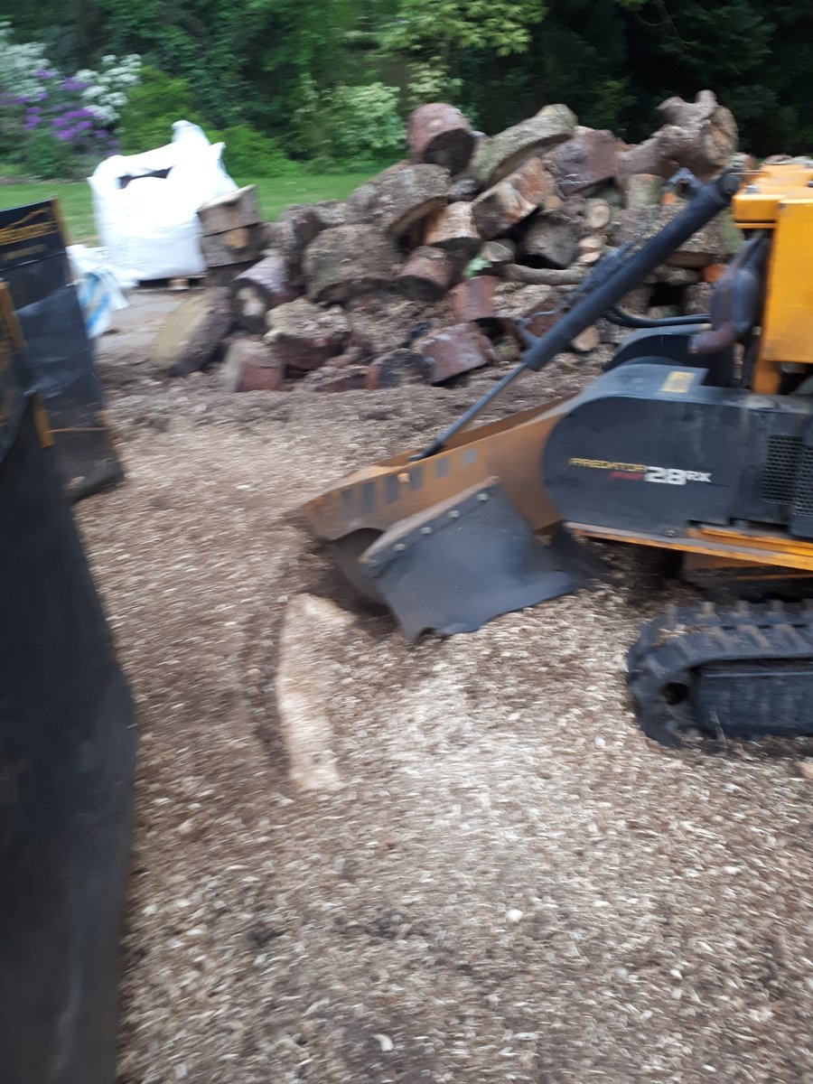 settling tree ground removal after