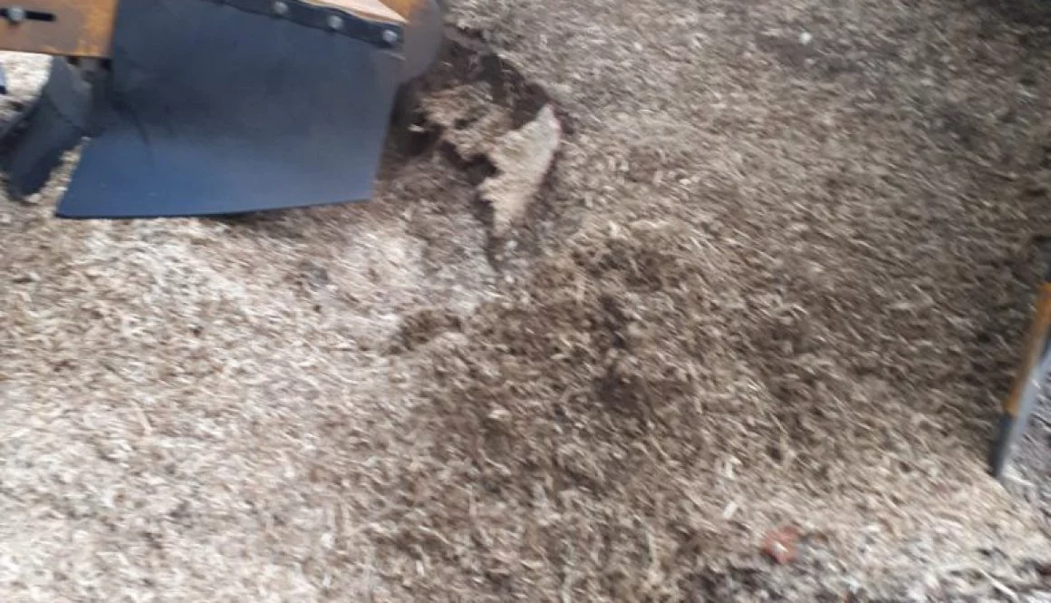 Another tree stump removal job in Stebbing, near Dunmow, Essex. A selection of various tree stumps being ground out. Tre...