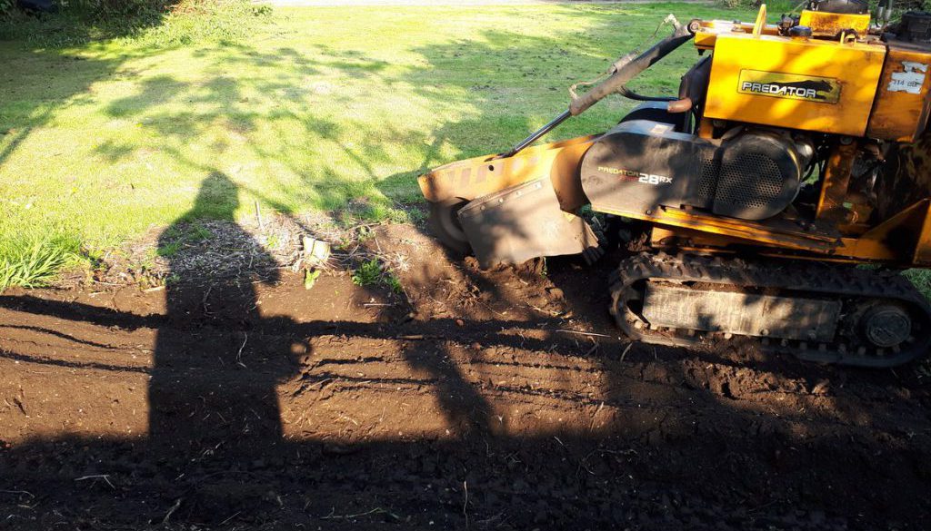 Clearing an area of small tree roots in Great Bardfield. The ground can now be levelled and prepared for lawn seed. ...