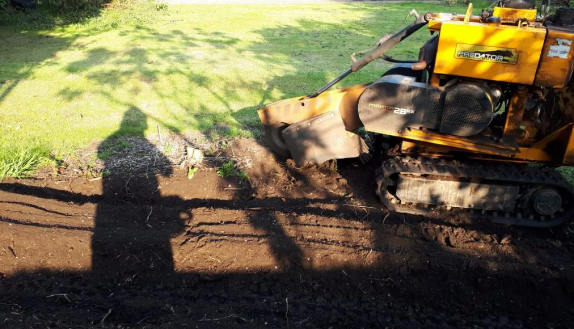 Clearing an area of small tree roots in Great Bardfield. The ground can now be levelled and prepared for lawn seed. ...