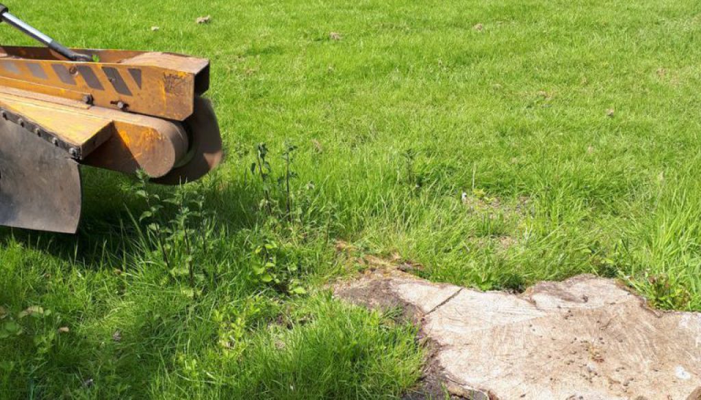 Essex Tree Stump Grinding are grinding out various tree stumps at Stock, near Billericay, Essex. ...