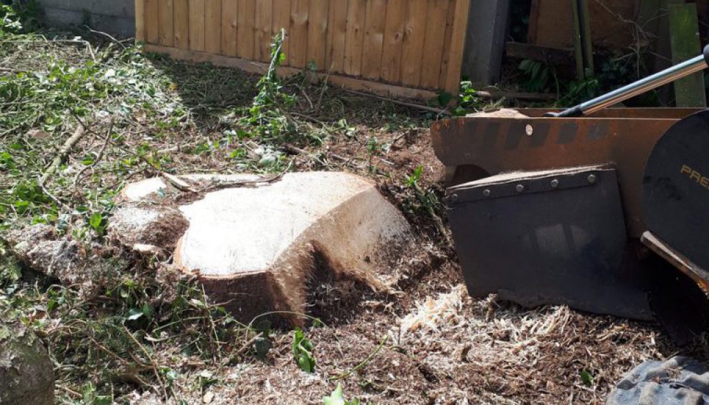 Essex Tree Stump Grinding, removing and grinding at Wethersfield, Essex. More information at  ...