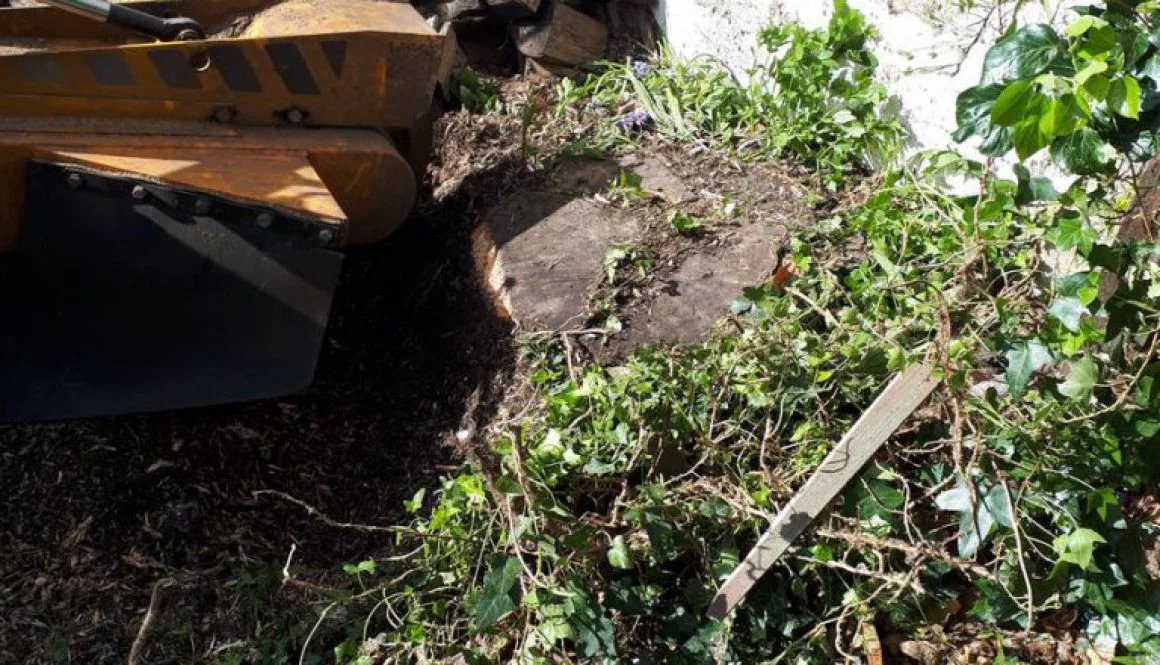 Grinding and removing a tree stump in Newport, Essex. I am here to help and answer your questions. ...