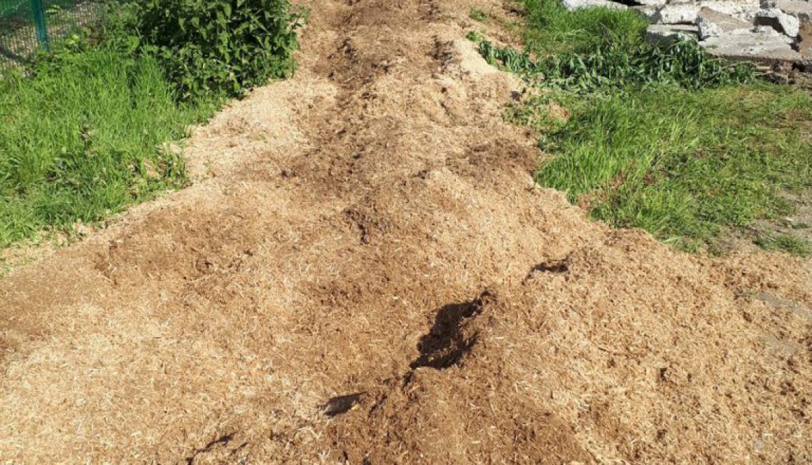 I have finished the tree stump removal job at Long Melford, Suffolk. All ready now for the digger to clear the site. A t...