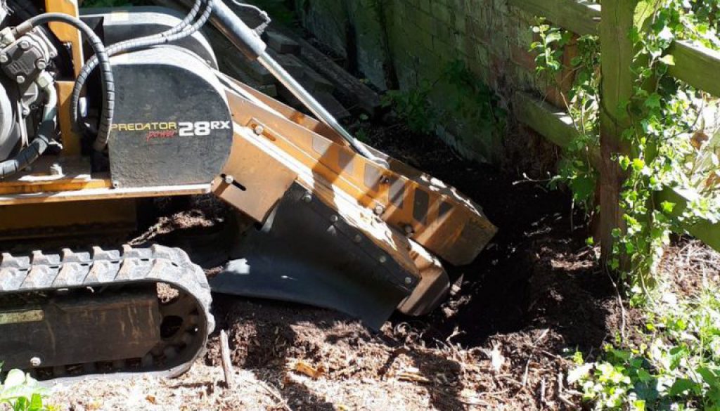 Removing tree stumps near Cambridge, in other words getting to the root of the problem! ...