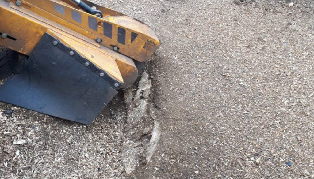 Stump grinding an Ash tree stump near Stansted, Essex. The tree stump removal is in preparation for turfing this area of...
