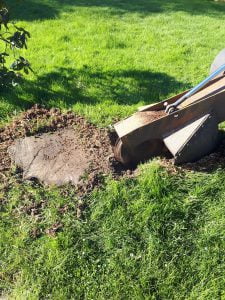 Tree stump grinding and removal of tree stumps, near Great Dunmow, Essex. For a free no obligation quote, please call Ro...