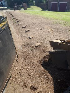 Tree stump removals and grinding a conifer hedge in Braintree, Essex. I am here for all your tree stump grinding and tre...