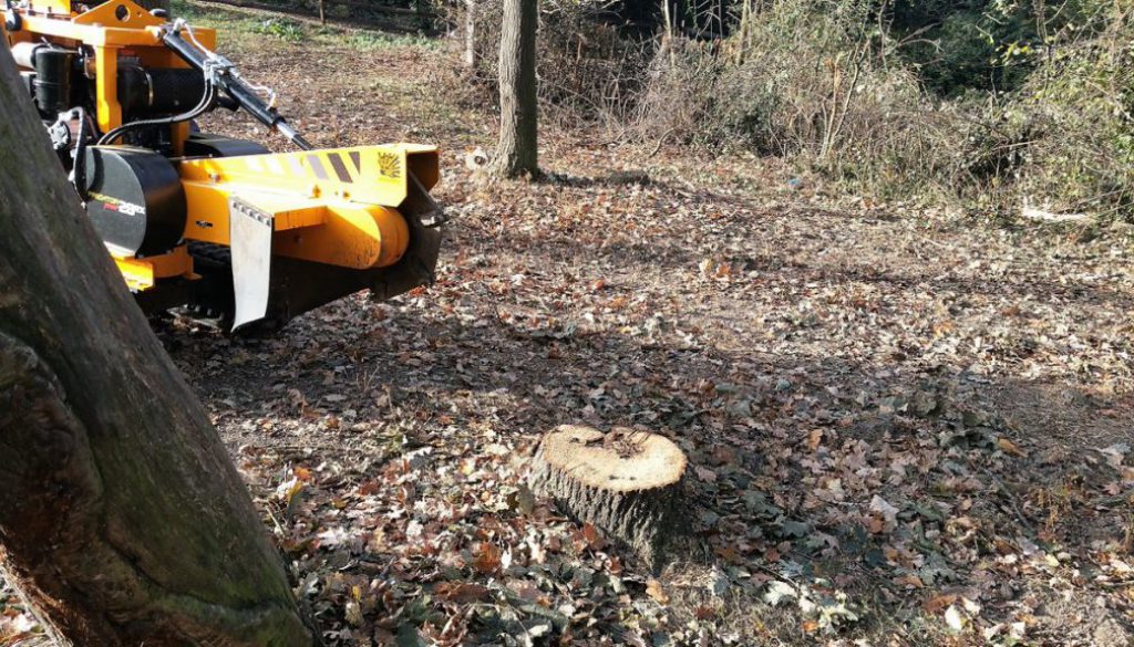 L| Did you know that it is often cheaper to hire me and my stump grinder to remove your tree stumps rather than hiring a...