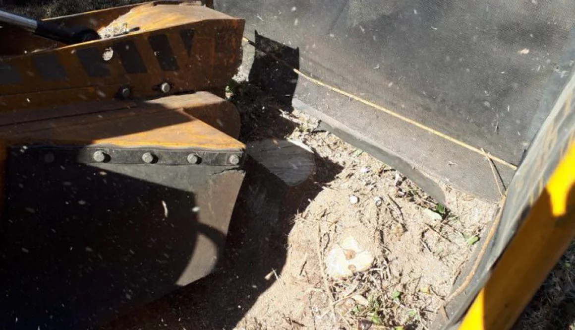 Tree stump grinding a number of various tree stumps at Wivenhoe, Colchester, Essex. I am here to help you with all your ...
