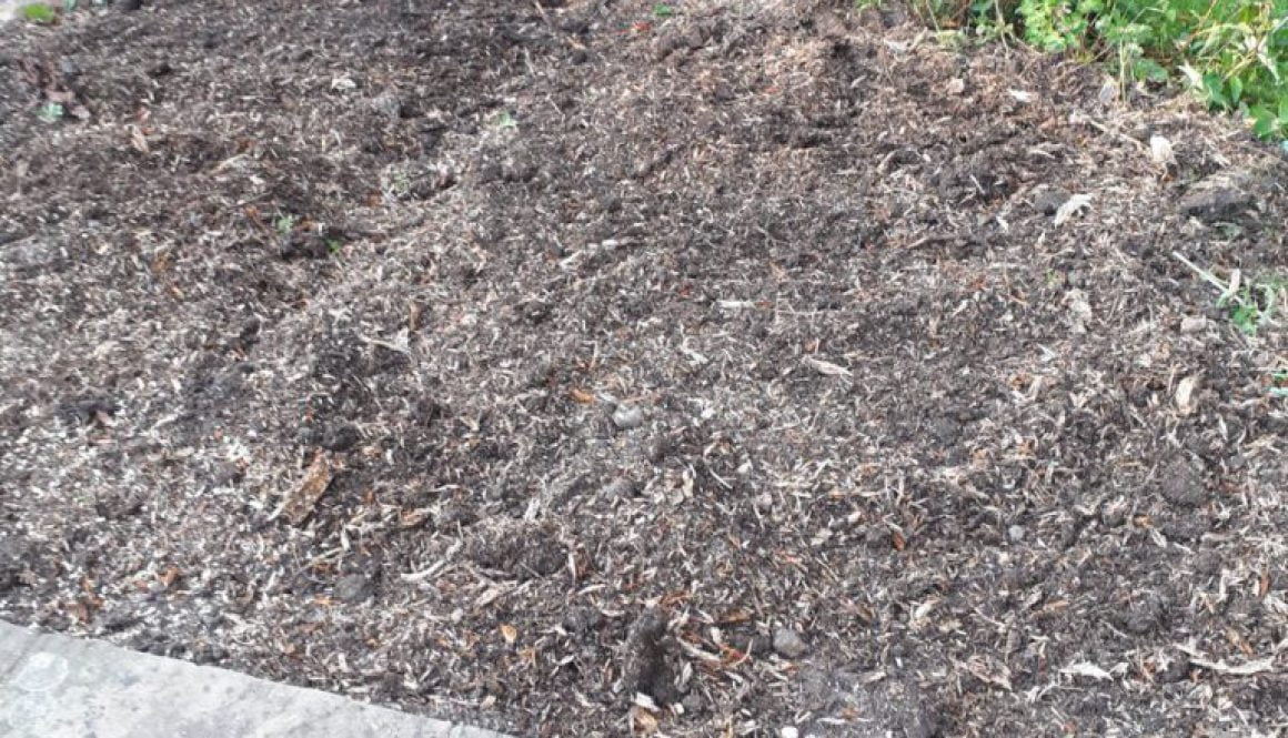 Essex tree stump grinding removing a bold apple tree stump in Fuller's End, Elsenham, Essex. For more information visit ...