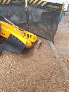 A selection of photographs from tree stump grinding and removals at Little Chesterford, near saffron Walden, Essex. ...