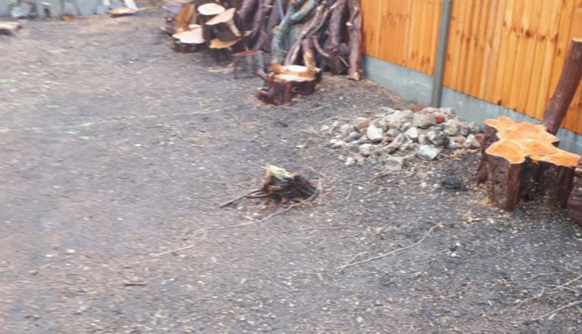 Essex tree stump grinding removing various tree stumps near Totteridge, Hertfordshire. ...