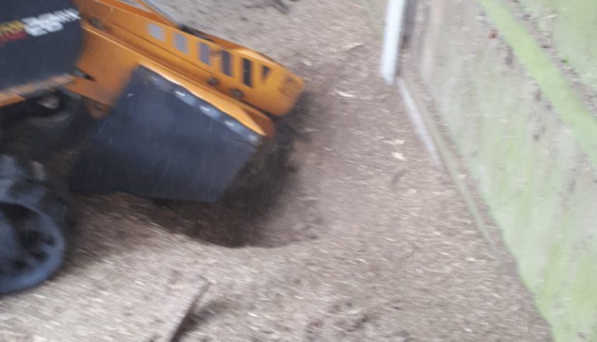 Essex tree stump grinding removing tree stumps near Heybridge Basin Maldon, Essex. We are here to help you with all your...