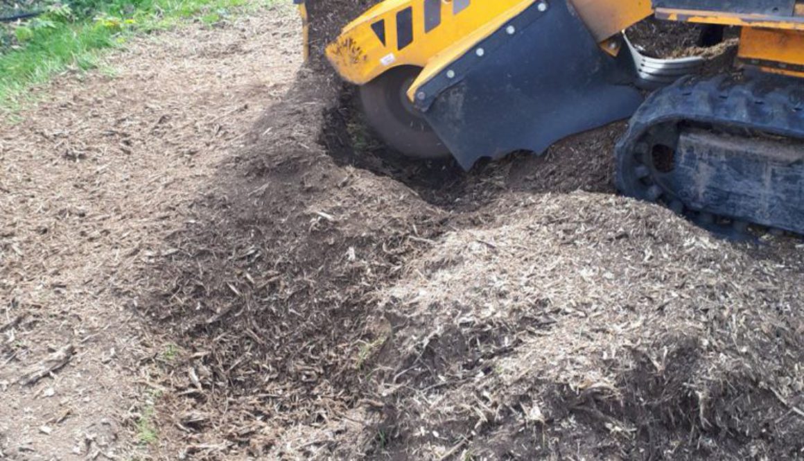 The tree stump grinding is now finished and already for the landscapers to come in and finish the garden. ...