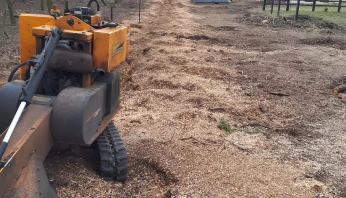 All finished, it took me about 9 hours to grind out around 50 stumps at Great Bromley, near Colchester, Essex. ...