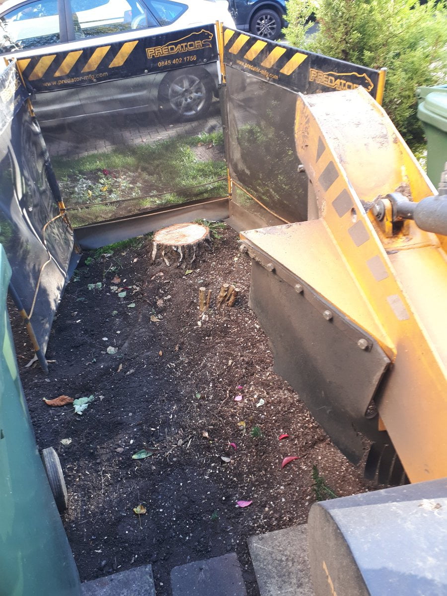 Essex Tree Stump Grinding a silver birch tree stump in Essex, we are here for all your tree stump removals and tree stum...