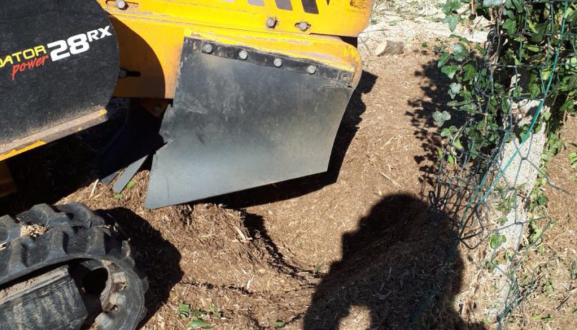 Essex Tree stump grinding removing tree stumps near Harold Wood, Essex. We are here for all your tree stump grinding nee...