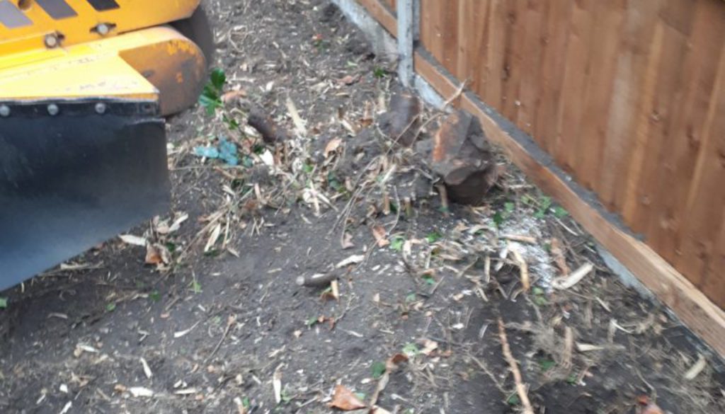 Essex tree stump grinding removing a selection of tree stumps in Great Bardfield, Essex. We are here to help you with al...