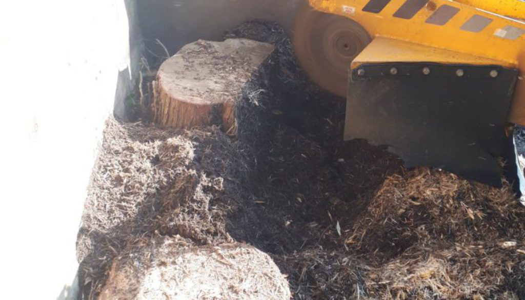 Essex tree stump grinding removing and grinding tree stumps near Gidea Park, Essex. We are here for all your tree stump ...