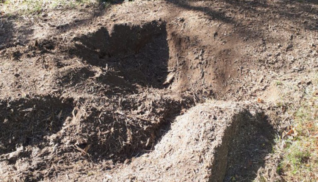 Essex tree stump grinding removing tree stumps in Wimbish, near Saffron Walden. We are here for all your tree stump grin...