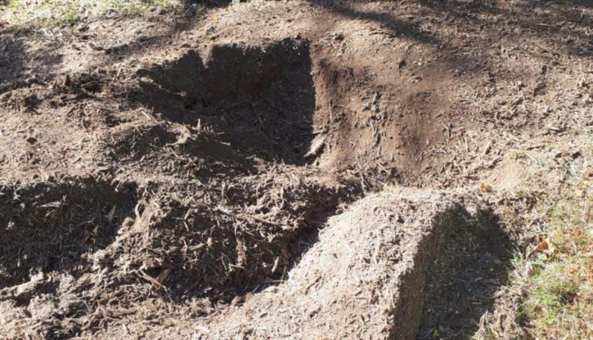 Essex tree stump grinding removing tree stumps in Wimbish, near Saffron Walden. We are here for all your tree stump grin...