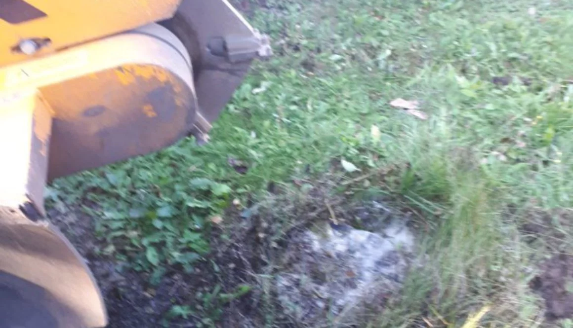 Essex tree stump grinding stumps in Saffron Walden, Essex. We are here for all your tree stump removal needs! ...