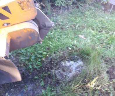 Essex tree stump grinding stumps in Saffron Walden, Essex. We are here for all your tree stump removal needs! Call 07971...