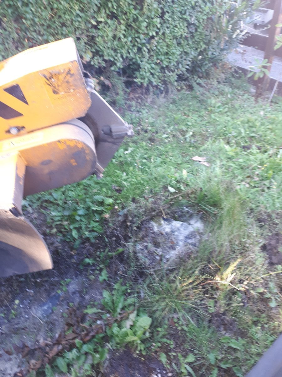 Essex tree stump grinding stumps in Saffron Walden, Essex. We are here for all your tree stump removal needs! Call 07971...