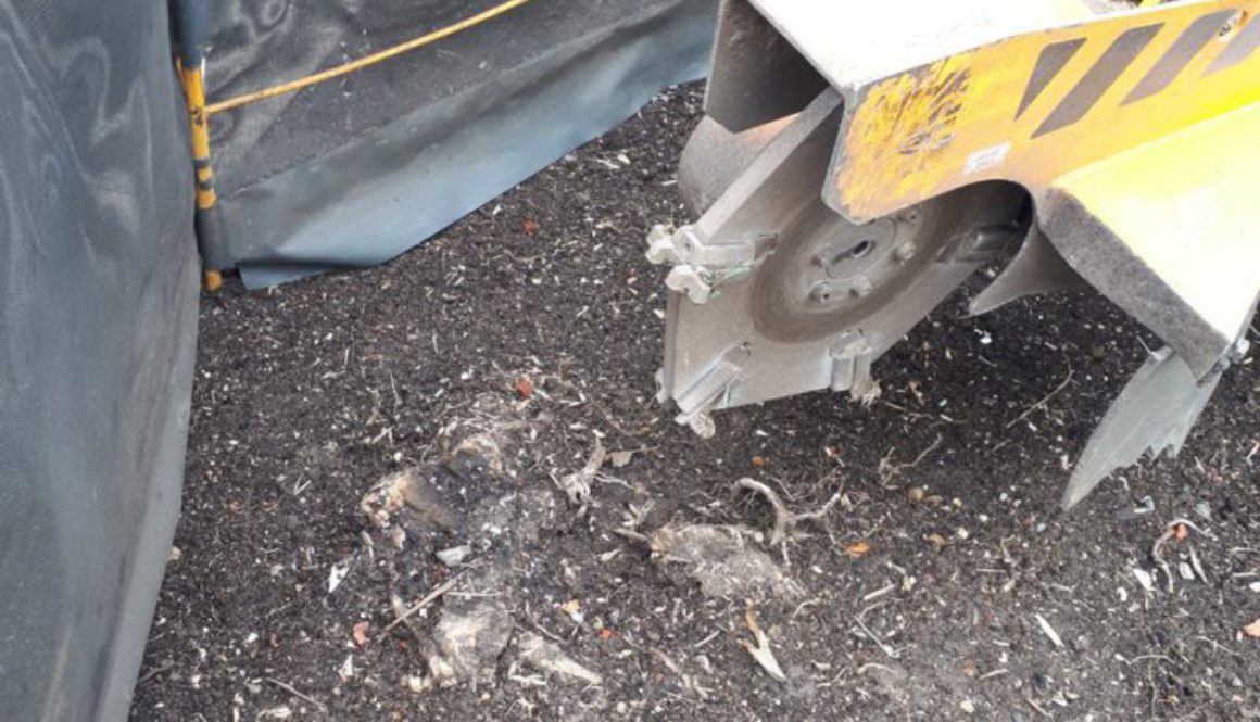 Essex tree stump grinding tree stumps near Upminster, Essex. We are here for all your tree stump grinding needs. ...