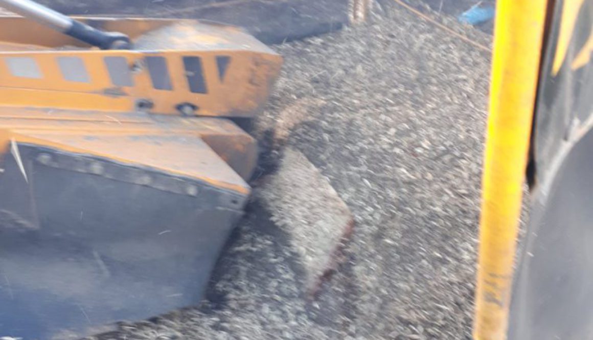 Grinding and removing a few more tree stumps at Bocking, near Braintree, Essex. We are here to help you with all your tr...