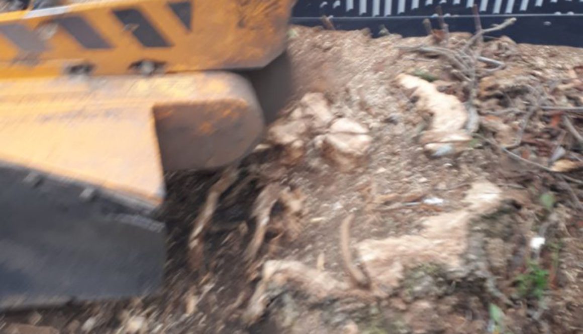 I was grinding tree stumps somewhere totally different the other day, I don't normally work in London, I had a slightly ...