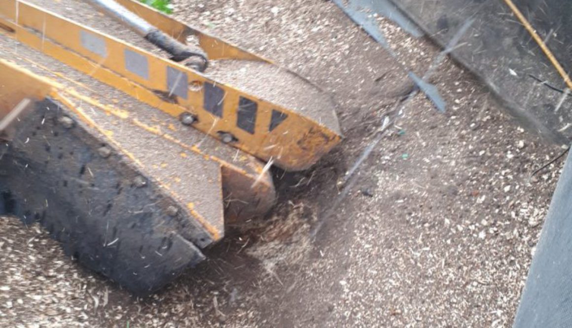 Removing a silver birch tree stump at Whipps Cross today. Please feel free to call me for all your stump grinding needs ...