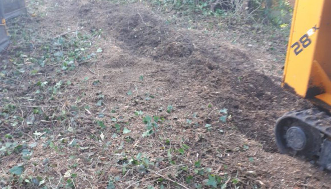 Tree stump grinding in Bocking, unfortunately near Braintree, Essex. I had a mixture of tree stumps to grind, conifers, ...