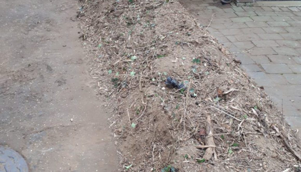 Essex tree stump grinding removing tree stumps at Kelvedon Hatch, near Ongar Essex. This particular tree stump removal j...