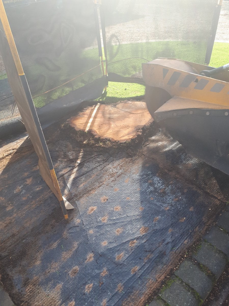 Essex tree stump grinding a silver birch tree root in Hockley, Essex. This particular tree stump was positioned around a...