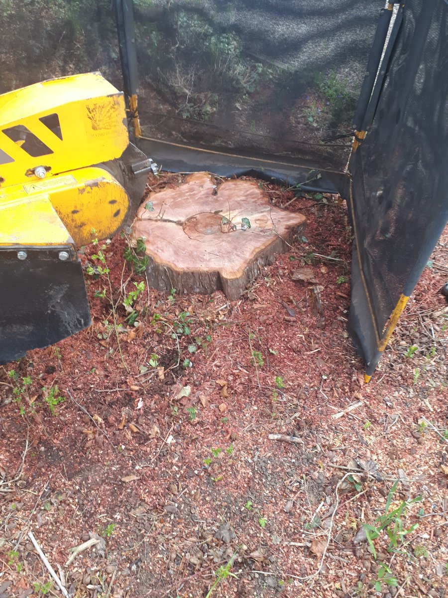 Tree stump drop off near me, 1938 Ipswich MA