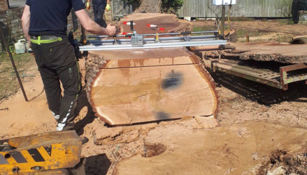 Tree stump grinding a large oak tree stump near Shalford, Essex. Unfortunately, this oak tree was rotten and unsafe. #tr...